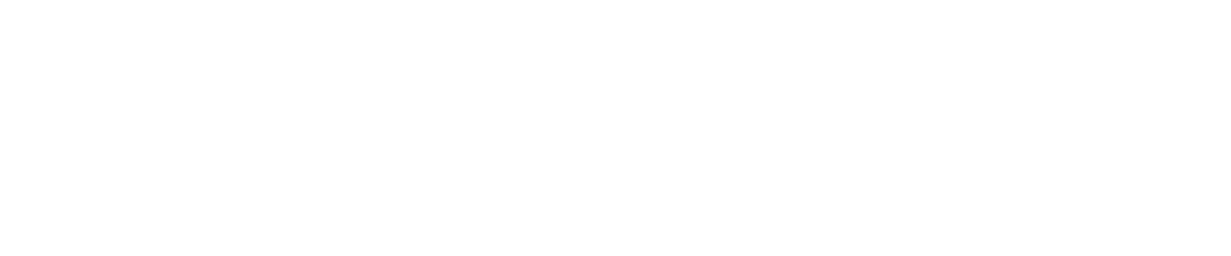 Analyst group white logo /